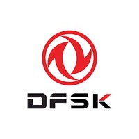 DFSK new in South Africa